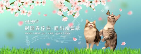 Facebook 社群脸书封面照片范例