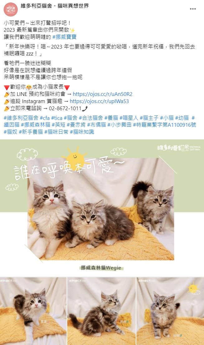 Facebook 社群贴文范例